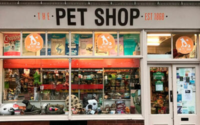 Não tem um pet shop no meu bairro. | Inglês BÁSICO Todos os Dias #119