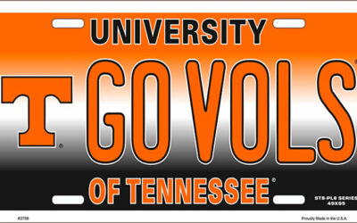 Eu fiz faculdade na Unversidade de Tennessee. | Inglês BÁSICO Todos os Dias #162