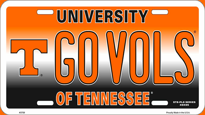 Eu fiz faculdade na Unversidade de Tennessee. | Inglês BÁSICO Todos os Dias #162